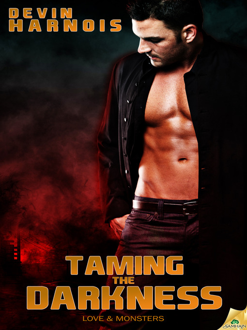 Cover image for Taming the Darkness
